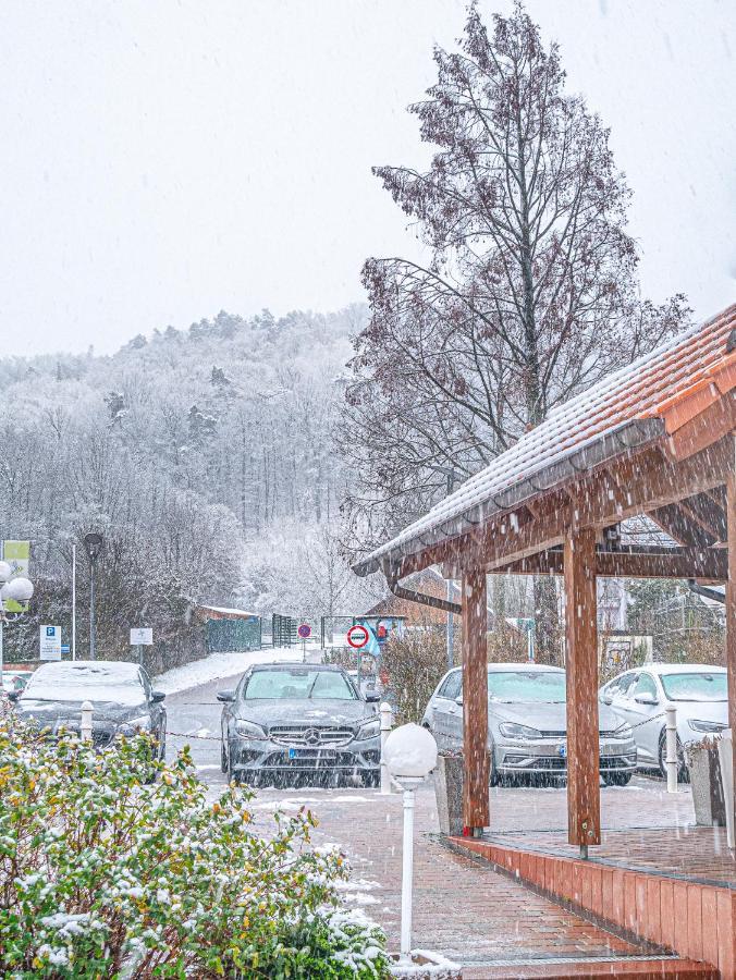 Tdyhomes Hotel Landstuhl Exteriör bild